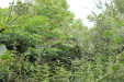 Thumbnail IMG_4970.JPG 