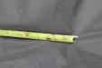 Thumbnail IMG_4981.JPG 