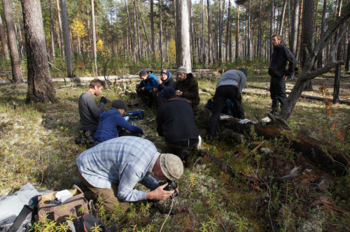 Group of Swedish environmentalists in the Pechoro-Ilychsky reserve (September, 2016)