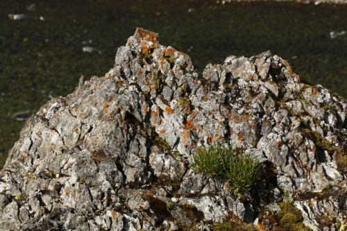 Lime stones in <br>the Orlinyj camp area