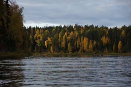The Pechora River