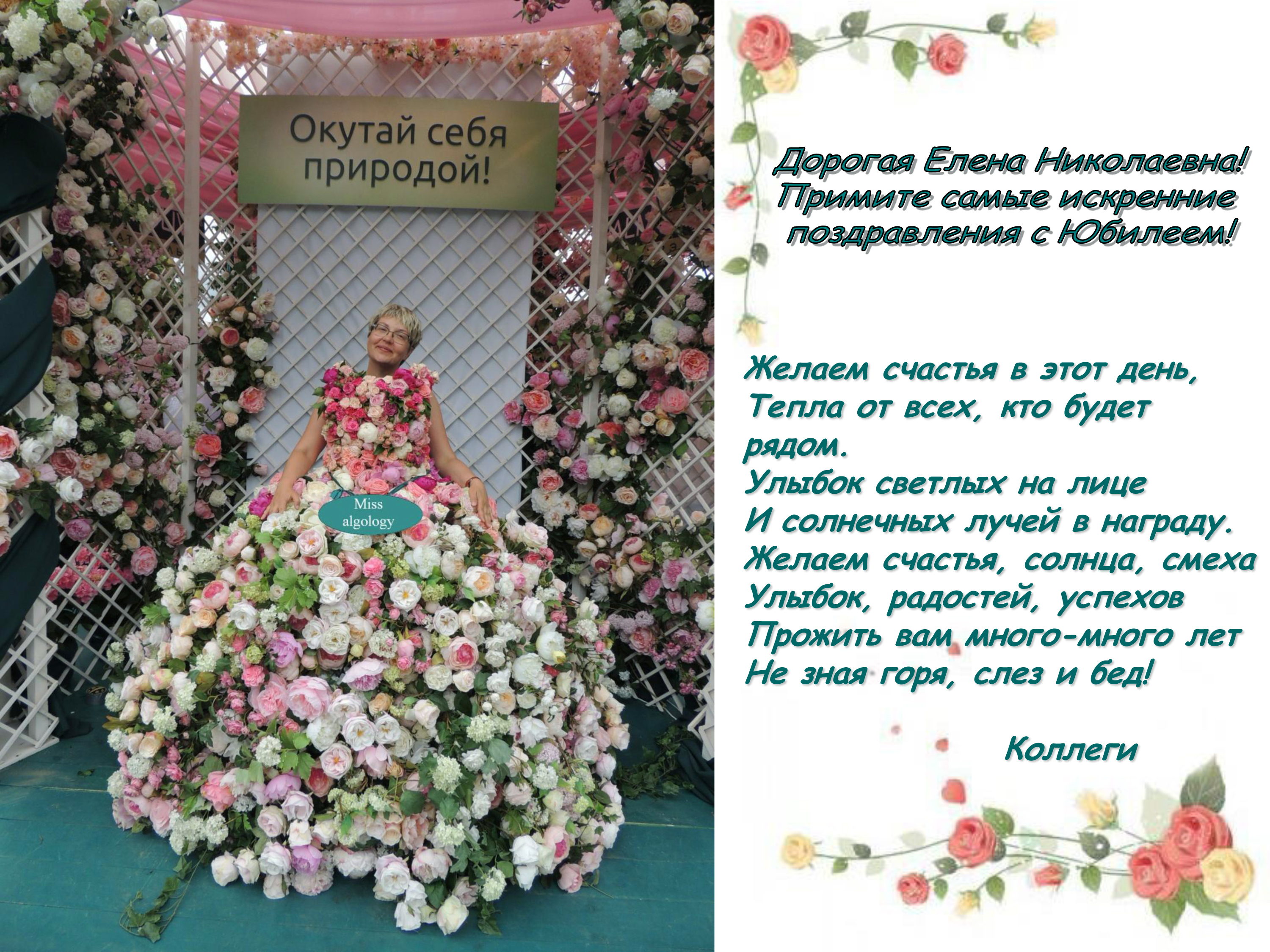 Искренние поздравления желаю Искренние поздравления желаю