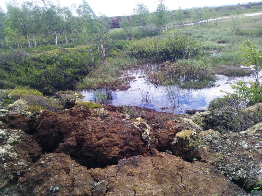 Разрушение торфяного бугра на болоте в Интинском районе в летний период